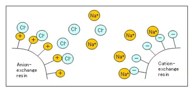 رزین‌های آنیونی و کاتیونی-2